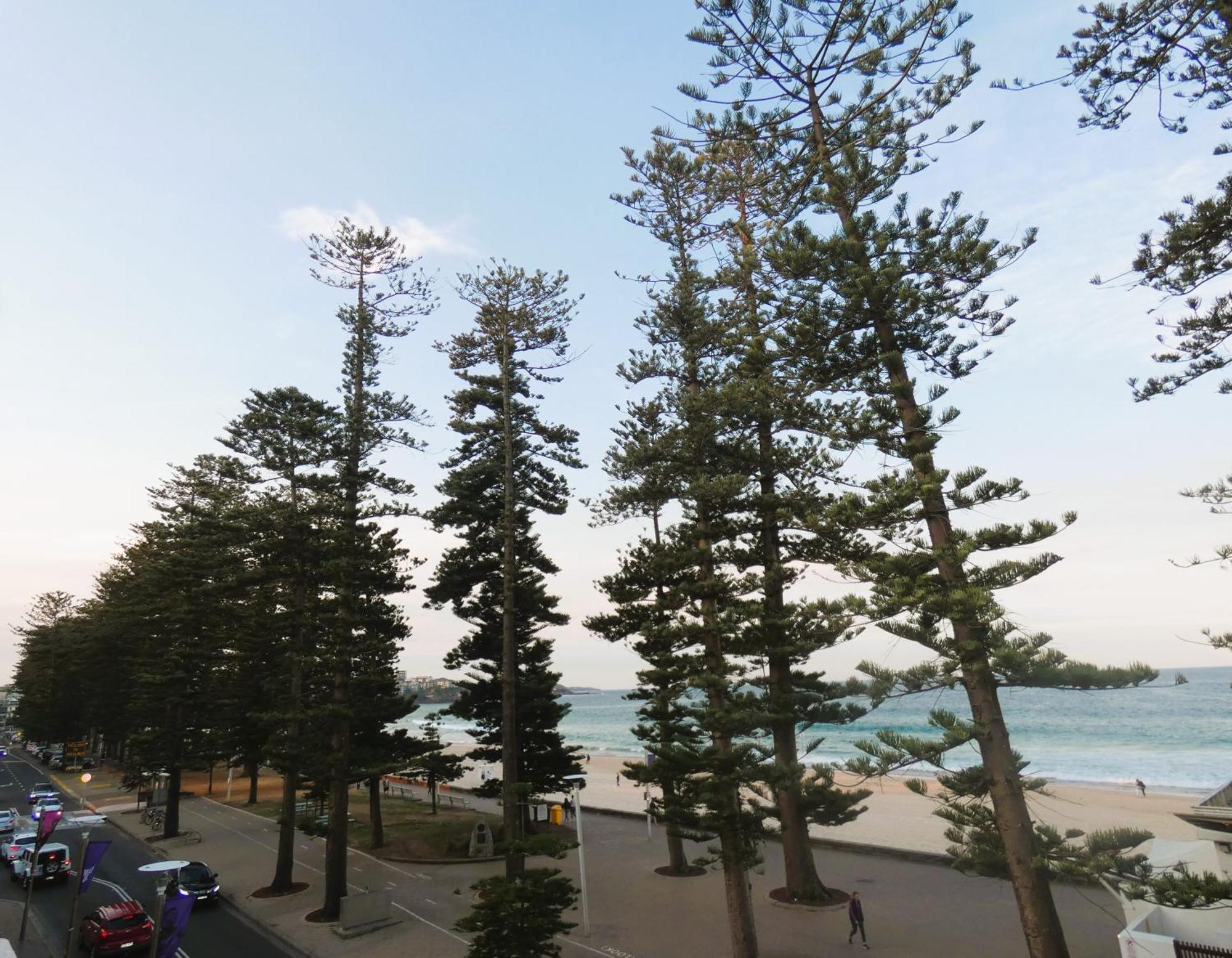 Stay At Hotel Steyne Sydney Bagian luar foto